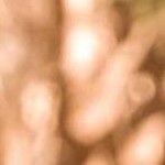 clear push pins bundle