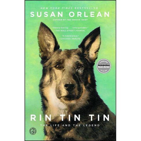 Rin Tin Tin (Reprint) (Paperback) by Susan Orlean - image 1 of 1