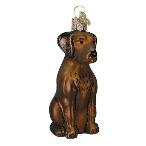 Old World Christmas Blown Glass Ornament for Christmas Tree, Chocolate Labrador - 1 of 4