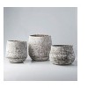 Mark & Day Slivnitsa Indoor / Outdoor Taupe Decorative Accent - 2 of 4