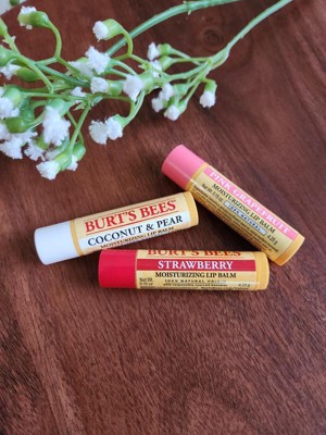 Burt's Bees Freshly Picked Lip Balm - 4pk : Target