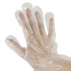 Baumgartens Disposable Gloves, X-Large, 100 Per Pack, 6 Packs - 4 of 4