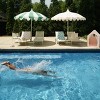 MINNIDIP Round Scalloped Market Patio Umbrella - Topiary - 3 of 4