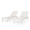 2 PCS FINN Patio Lounge Chair Chaise Recliner Weather Resistant without Cushion-Christopher Knight Home - 2 of 4