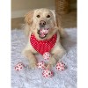 Midlee Valentine's Hearts Dog Tennis Balls Regular Large Size Gift - 3 of 4