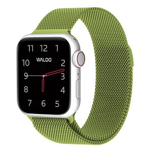 Waloo Magnetic Mesh Band For Apple Watch Series 10/9/8/7/6/5/4/3/2/1/SE/Ultra - 1 of 3