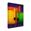 Trademark Fine Art -Daniel Patrick Kessler 'Celebrating Diversity ' Canvas Art - 4 of 4