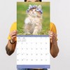 TF Publishing 2025 Wall Calendar 12"x12" Kittens - 4 of 4