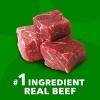IAMS Proactive Health Minichunks Beef and Rice Flavor Recipe Adult Dry Dog Food - 15lbs - 4 of 4