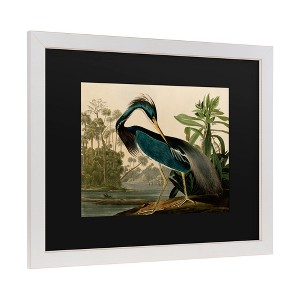 "Louisiana Heron" Outdoor Canvas - 1 of 3