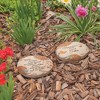 Pavilion Gift Company - Stars in the Sky - 10" Garden Stone - Stepping Stones and Pathways - 3 of 4