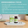 Himalaya Ashwagandha+ Focus with Ashwagandha, Bacopa, Rosemary & Green Tea for Memory, 60 Capsules, 1 Month Supply, Vegan, Gluten Free - 3 of 4