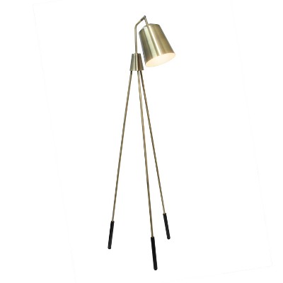 Adjustable Black Tripod Floor Lamp with Spotlight Shade