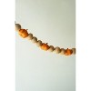 Garland 72"L, Gourd and Orange Pumpkin , Multi-Color Natural Autumn Decor By Kalalou - 4 of 4