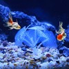 Unique Bargains Glowing Silicone Aquarium Simulation Coral - 2 of 4