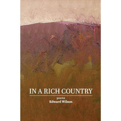 In a Rich Country - by  Edward Wilson (Paperback)