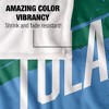 Tulane University Fan Zone Silky Touch Super Soft Throw Blanket 50x60 - 4 of 4