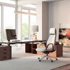EUREKA ERGONOMIC SERENE, Napa Leather Executive Office Chair - 3 of 4