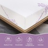 Doctor Pillow Waterproof Durable Anti-dust Mite Anti-Bacteria Lavender Mattress Cover Queen Size - 3 of 4