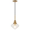 Hudson and Canal 8" Wide Pendant with Glass Shade - 3 of 4