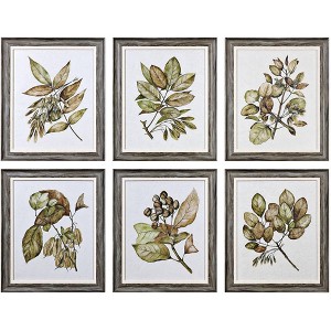 Uttermost Seedlings 6-Piece 24 1/4" High Wall Art Set - 1 of 1