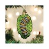 Old World Christmas Glass Blown Tree Ornament, Fuzzy Caterpillar - 3 of 4