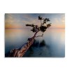 Trademark Fine Art-Moises Levy 'Water Tree XIV' Floating Brushed Aluminum Art - 2 of 4