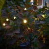 Moonelit Creations 2pk Solar Garden Firefly Outdoor Light Stake Black - 3 of 4
