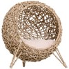 20.5" Weaved Cat Bed, Elevated Hand-woven Braided Banana Leaf Kitten House Condo with Cushion, Beige - 3 of 4