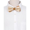 INSPIRE CHIC Men's Two Color Layered Adjustable Solid Color Bow Ties - 4 of 4