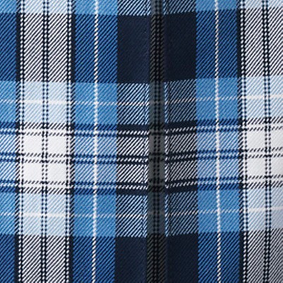 clear blue plaid