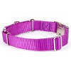 Country Brook Petz Heavyduty Nylon Martingale with Premium Buckle - 2 of 4
