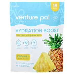 Venture Pal Hydration Boost, Electrolyte Drink Mix, Pineapple, 16 Stick Packs, 0.32 oz (9 g) Each - 1 of 3