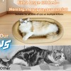 Boersma Large Sisal Cat Scratching Bed – One-Piece Durable Cat Basin with Toy Ball, Wear-Resistant Concave Design for Scratching & Sleeping - 4 of 4
