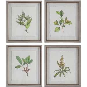 Uttermost Wildflower Study 22"H 4-Piece Framed Wall Art Set - 1 of 1