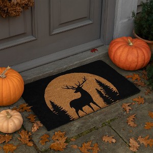 Evideco French Home Goods Sheltered Coir Doormat 30x18 Inch - 1 of 4