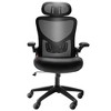 PDTEND Ergonomic High Back Office Chair with Adjustable Lumbar Support, Headrest & 2D Armrest - Black - 2 of 4