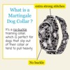 Country Brook Petz HossFit Jr Wide Martingale Dog Collar - Halloween Collection - 2 of 4