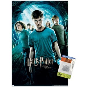 Trends International Harry Potter and the Order of Phoenix (French) Unframed Wall Poster Prints - 1 of 4