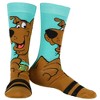 Scooby-Doo Socks Men's Shaggy and Scooby 2-Pack Adult Mid-Rise Crew Socks Multicolored - 2 of 4