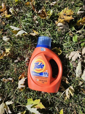 Guest review image 4 of 4, zoom in