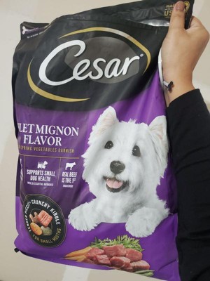 Cesar small breed dry dog outlet food