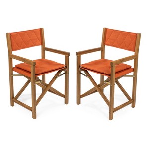 Waldo Classic Mid-Century Outdoor Acacia Wood Foldable Diamond-Quilted Back Director Chair with Cushion- JONATHAN Y - 1 of 4