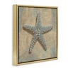 Stupell Industries Starfish Beach Objects Design, 18" x 18" - 3 of 4