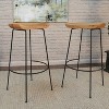 Carolina Living Set of 2 30.5" Bryson Barstools - 2 of 4
