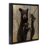 Stupell Industries Forest Black Bear and Cubs Floating Frame Canvas Art, Black, 18" x 18" - 2 of 4