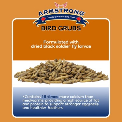 Armstrong Bird Grubs 0.33lb High-Energy Wild Bird Food