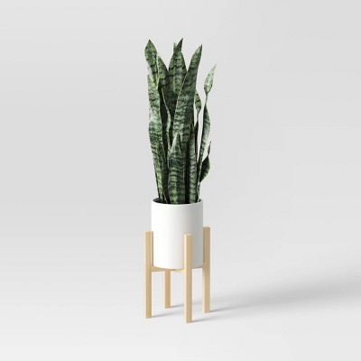 Snake Plant in Plant Stand - Threshold&#8482;