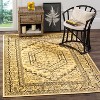 Adirondack ADR108 Non-Shedding Power Loomed Indoor Rugs - Safavieh - 2 of 4