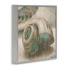 Stupell Industries Centered Sharkeye Seashell, 24" x 24" - 3 of 4
